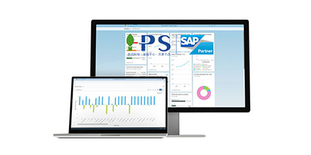探索SAP All-in-One：集成全面的企業(yè)管理解決方案