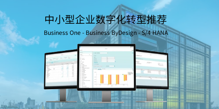 SAP Business One（SAP B1）的實際功能