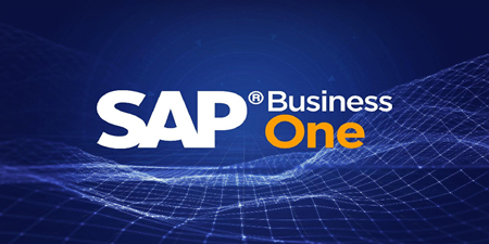 SAP B1系統(tǒng)設置和管理——數(shù)據所有權權限 