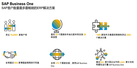 SAP B1 10.0 - 無法獲取訪問令牌，請與管理員聯(lián)系